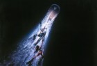 [烈血海底城 Leviathan][1989][美国][科幻][英语]
